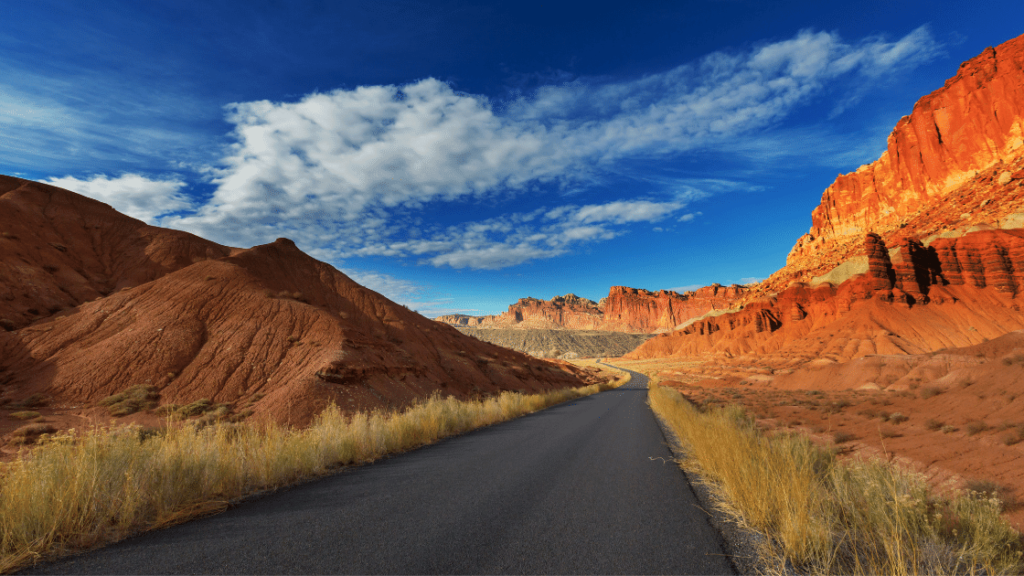 Capitol Reef National Park with a Dog | Dog-Friendly Guide to Capitol