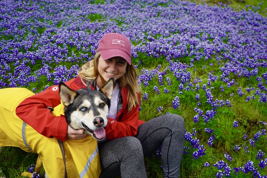 Hiking to Phantom Falls, California’s Best Spring Wildflower Hike