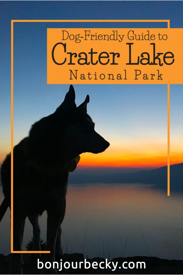 Crater Lake Pet Friendly