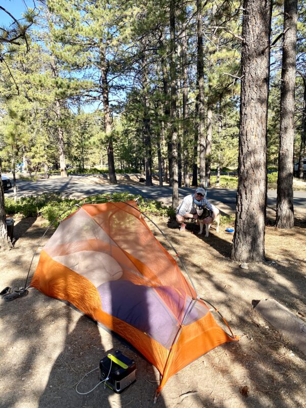 Visiting Bryce Canyon National Park with a Dog | The Ultimate Dog ...