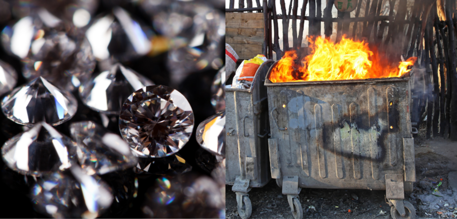 Diamonds in the Dumpster Fire: Some Good Parts of 2020