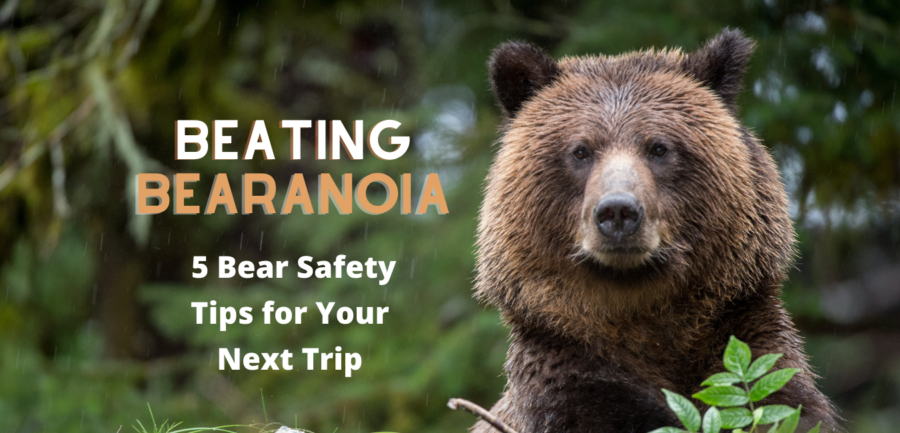 Beating Bearanoia: 5 Bear Safety Tips for Your Next Hiking or Camping Trip